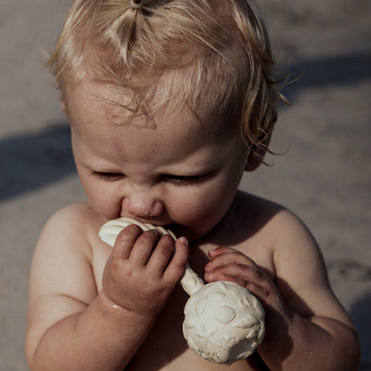 Natruba Rattle & Teether – Sea Shell