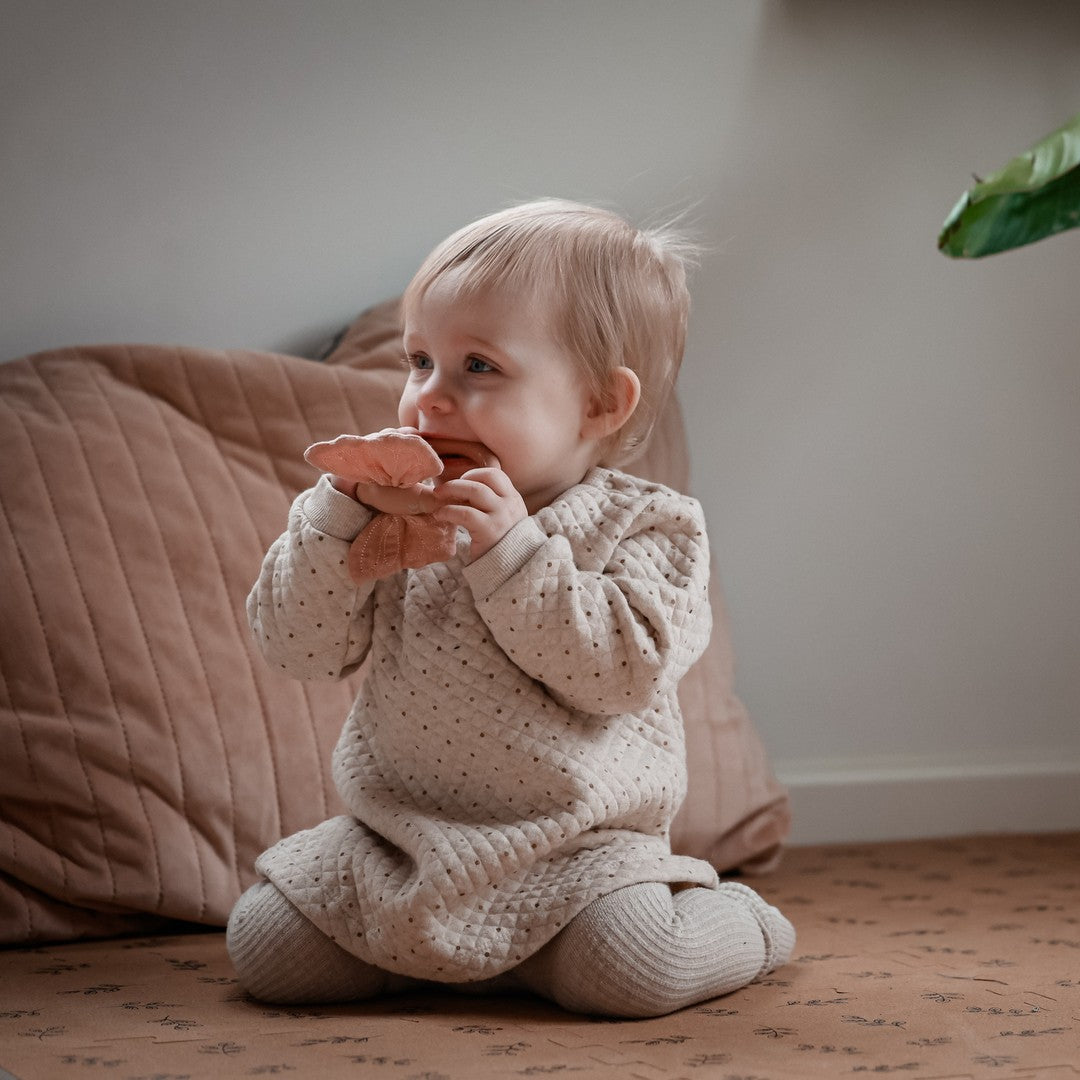 Natruba Bijt- en activiteitenring – Vlinder