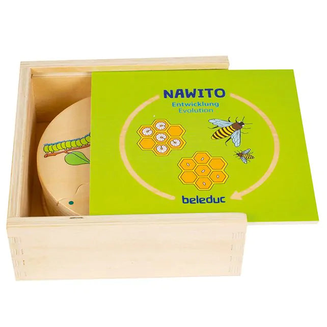 Houten Ontwikkelingsspel - NAWITO Evolution
