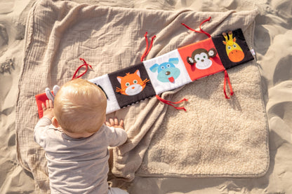 Edushape my first black and white book - cognitive development &amp; tummy time