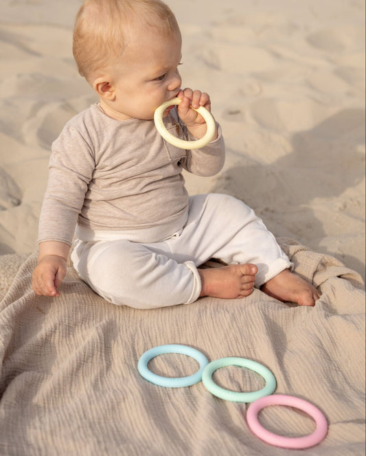 Dena - bijt/activiteiten ringen pastel