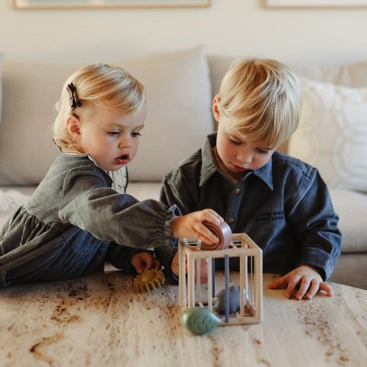Elastic Shape Sorter - Mushie
