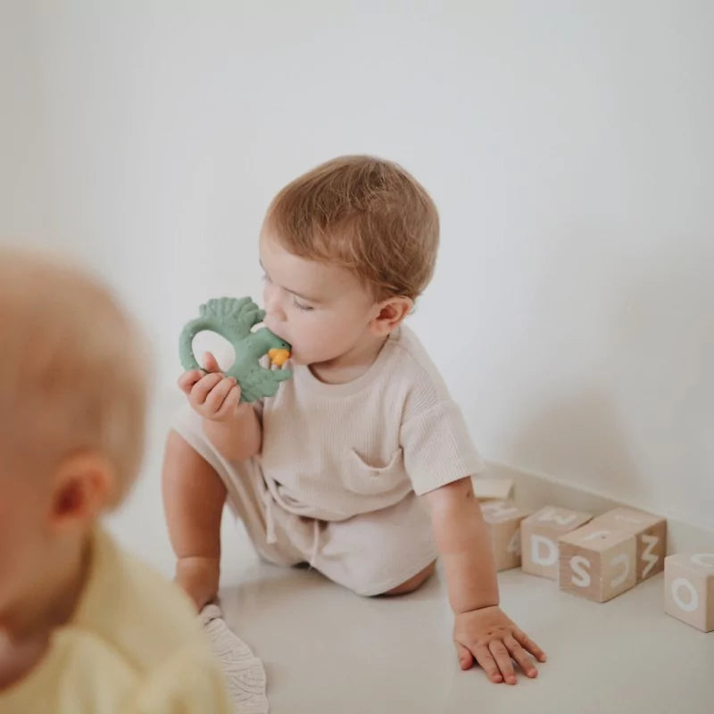 Natruba Teething Ring – Parrot Natural Rubber